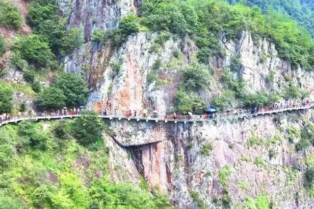 东安县花桥镇:禁种铲毒在行动 全力踏查守净土